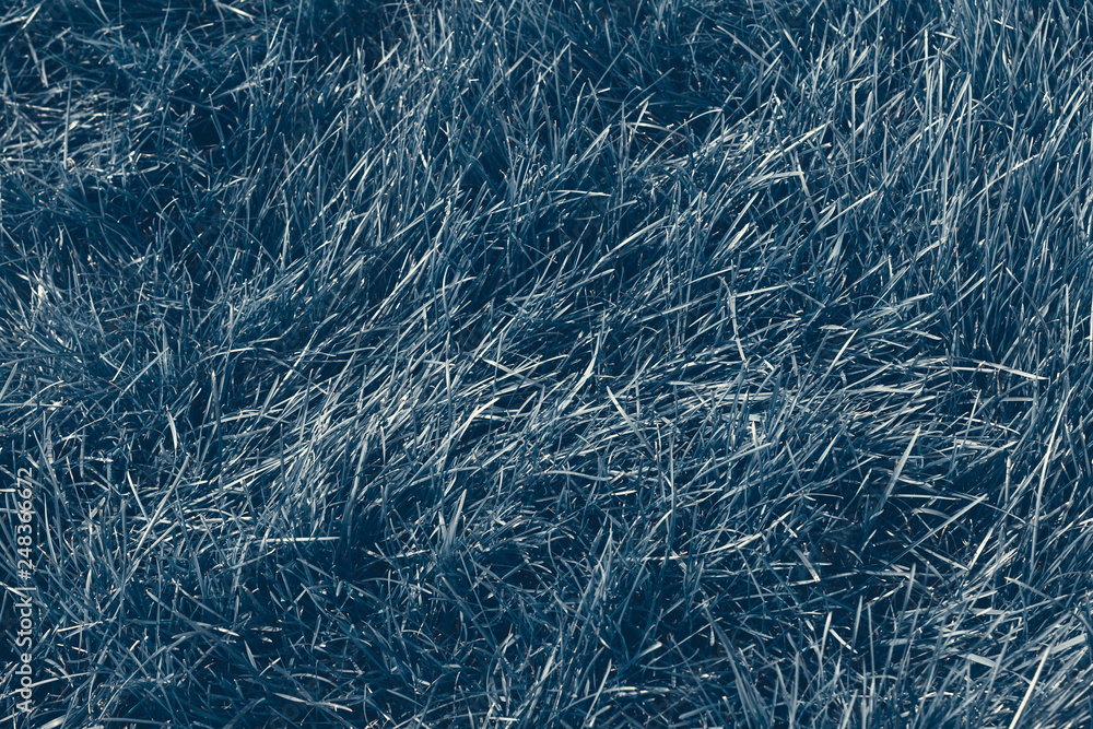 Fototapeta premium abstract blue grass background