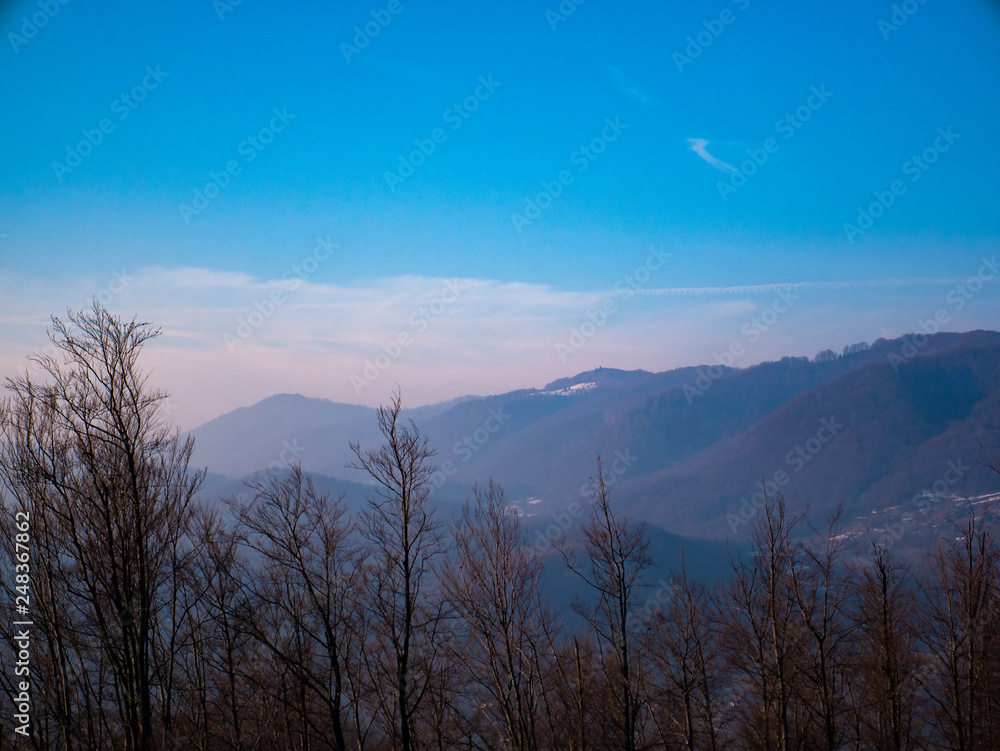 Trees on the background of high mountains at sunset Trees on the background of high mountains at sunset
