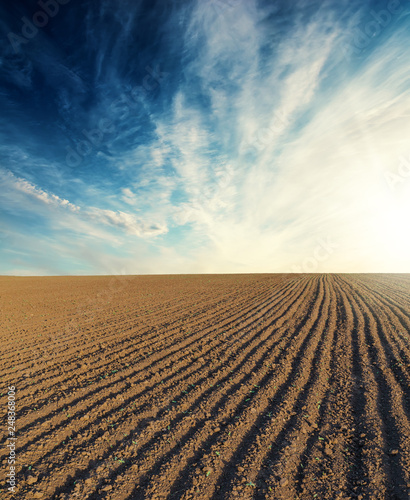black plowed field and sunset in blue sky with clouds