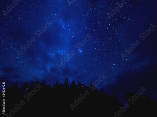 Star tracks upon top of trees. Starry night sky in cloudy weather. Kenozersky National Park, Arkhangelsk region, Russia.