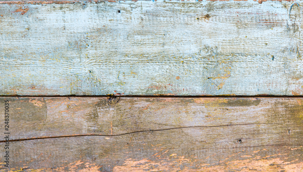 Fototapeta premium Section of wood panelling from a seaside beach hut. Perfect as a background for Summer Holiday or seaside themes.