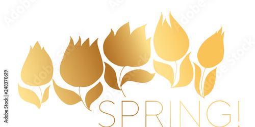 Luxury decorative tulip flo...