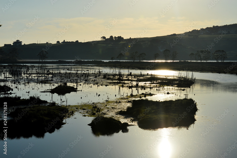 Fototapeta premium La Rabia wetlands, Cantabria