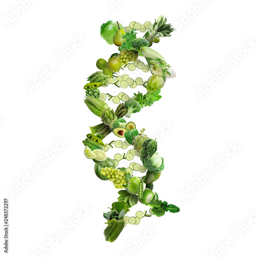 Nutrigenetics concept DNA strand made with healthy fresh green vegetables and fruits
