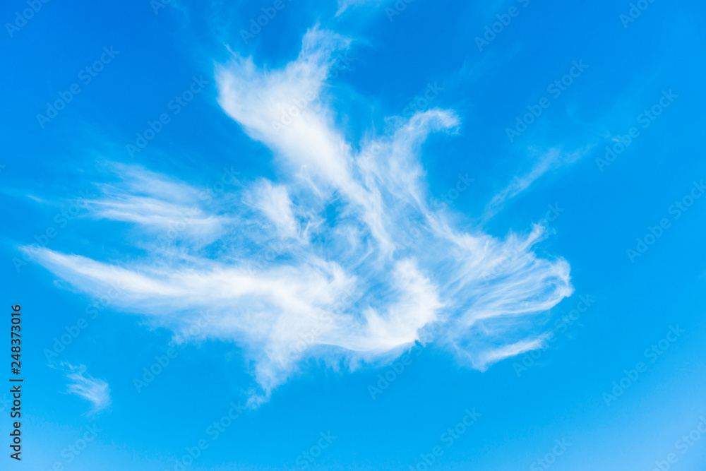 Artistic looking clouds during a sunny Day Artistic looking clouds during a sunny Day