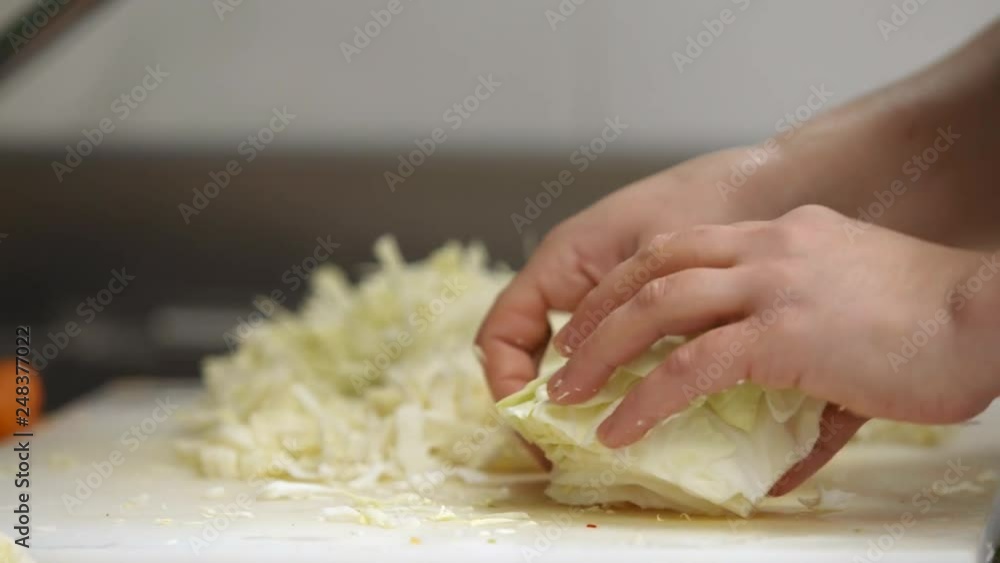 preparation of cabbage kitchen chef cutting preparation of cabbage kitchen chef cutting