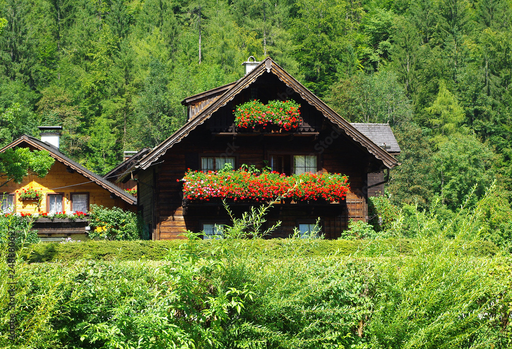 Wooden house with flowers decorated balconies on the background of a green mountain slope forest