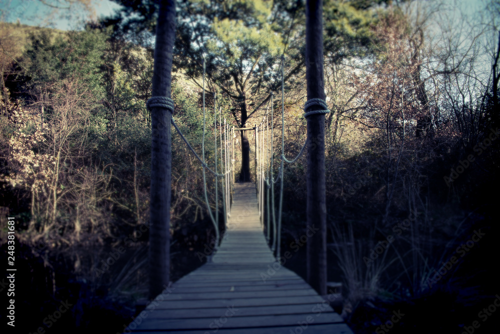 Fototapeta premium A wooden bridge