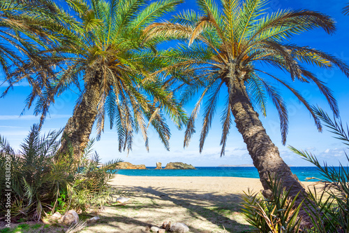 Fototapeta Naklejka Na Ścianę i Meble -  Scenic landscape of palm trees, turquoise water and tropical beach, Vai, Crete, Greece.