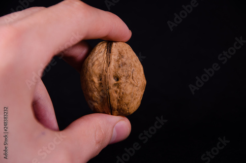 hand holding walnuts