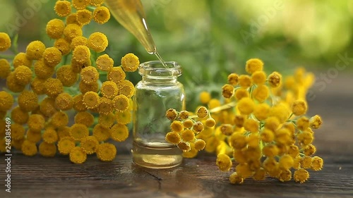 tansy essential oil in  beautiful bottle on table