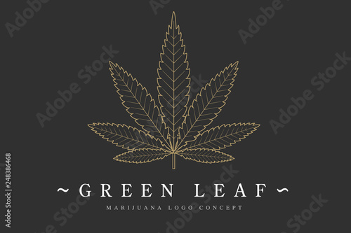 Cannabis marijuana hemp green leaf flat symbol or logo design. Cannabis green silhouette ecology logo. Hemp emblem for the logo design packaging of goods, food, for the creation of printed products.