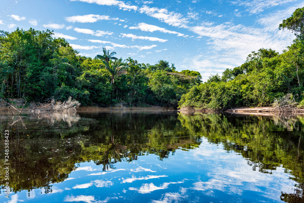 Corocoro River & Amazonian Landscape deep in the rainforests of Yutaje, Venezuela
