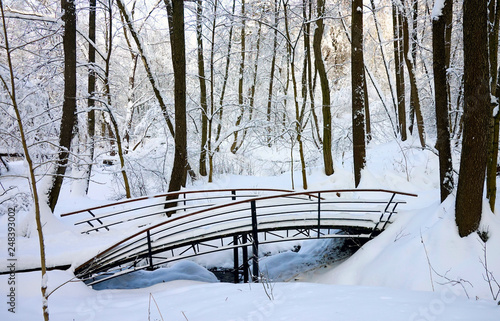 Forest small river, wooden pedestrian bridge, winter forest in the snow, frosty day.