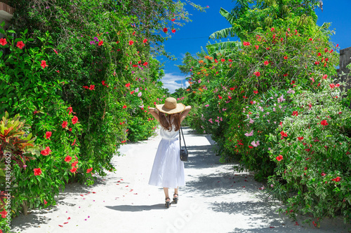 沖縄の風景（竹富島）