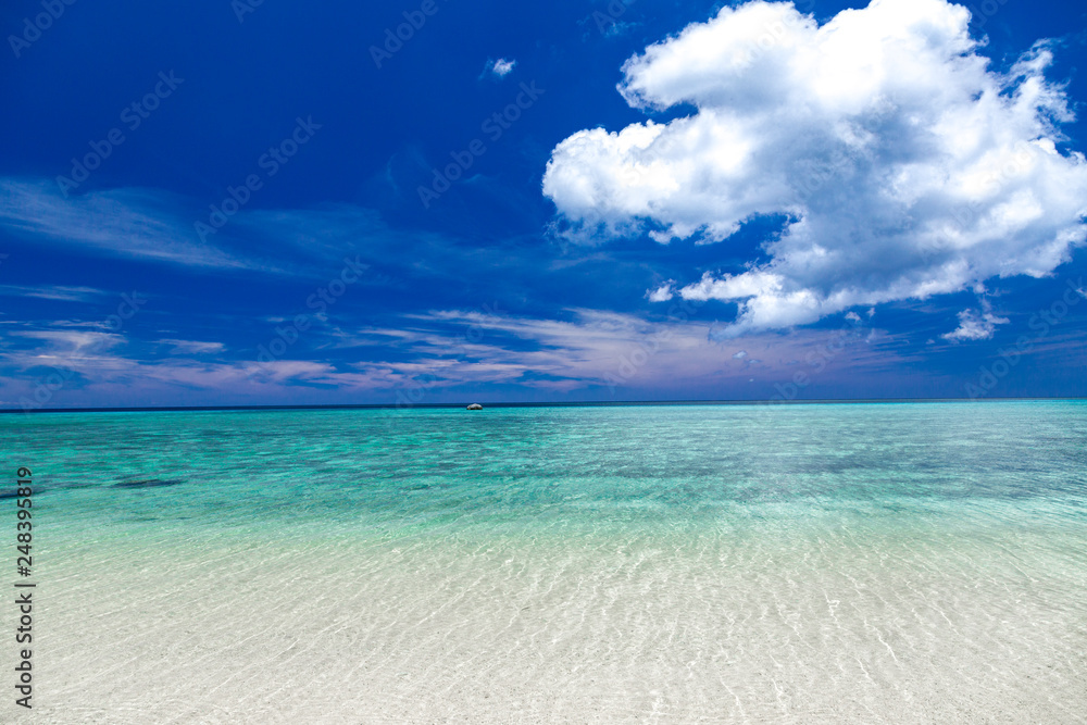 Fototapeta premium 沖縄のビーチ（石垣島）