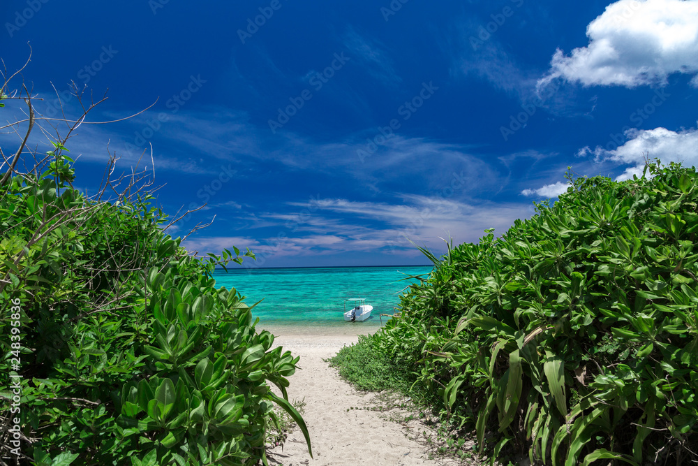 沖縄のビーチ（石垣島）