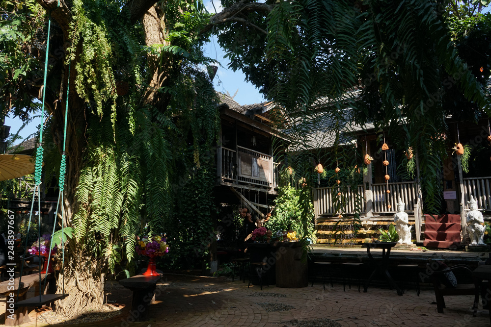 Obraz premium A l'ombre d'une maison ancienne