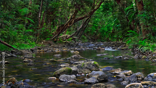 Small tropical creek flows among rocks in the jungle. Daintree cascade. Daintree National Park  Australia.-Image.