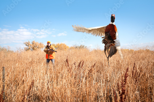 Cuadro en lienzo A male pheasant rooster takes flight a female pheasant hunter takes aim with her shotgun