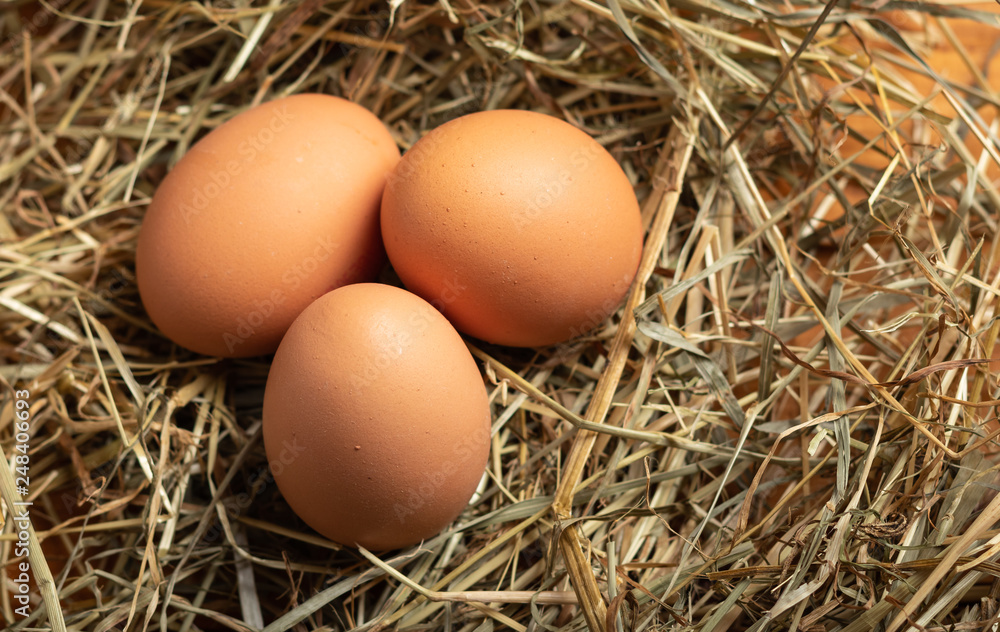 eggs on a straw bed