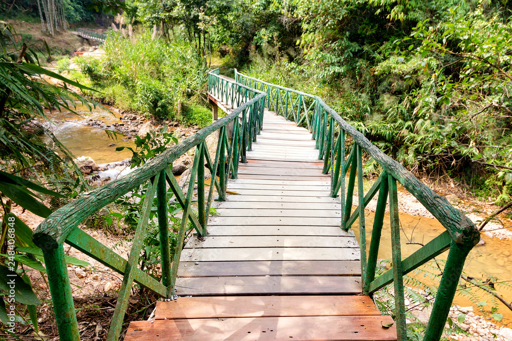 Wood bridge in rain forest in National park in Karnchanaburi province in Thailand. Selective focus Wood bridge in rain forest in National park in Karnchanaburi province in Thailand. Selective focus