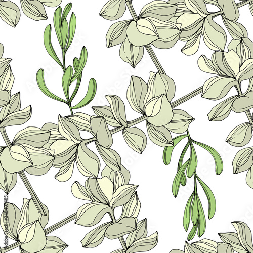 Vector Jungle botanical succulent flower. Engraved ink art illustration. Seamless background pattern.