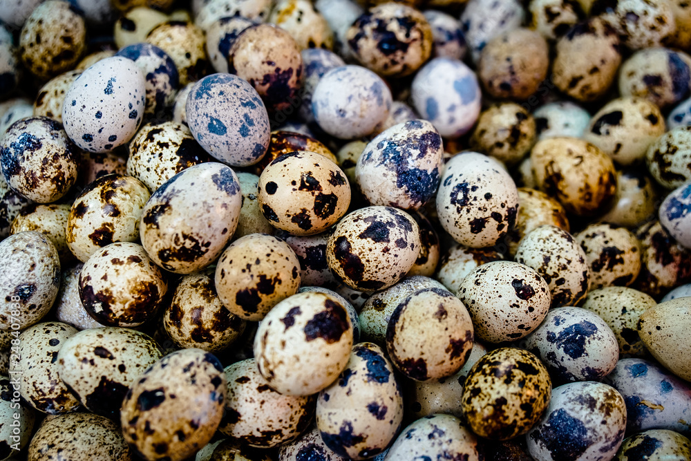 close up textured background of quail eggs. High protein for Diet close up textured background of quail eggs. High protein for Diet
