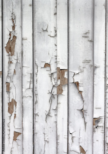 faded weathered white cracked peeling paint on an old wood barn siding