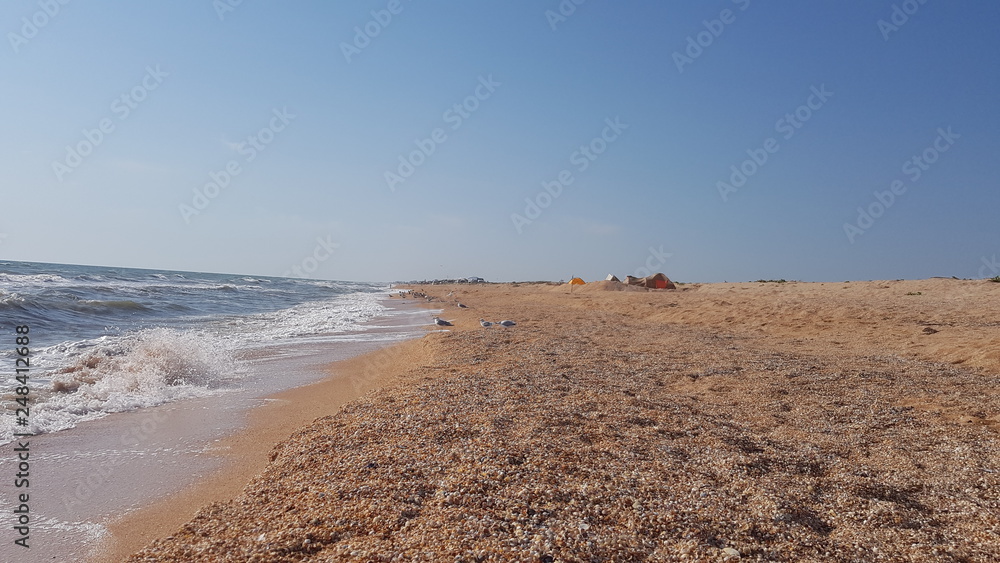 Sea, gulls and sand