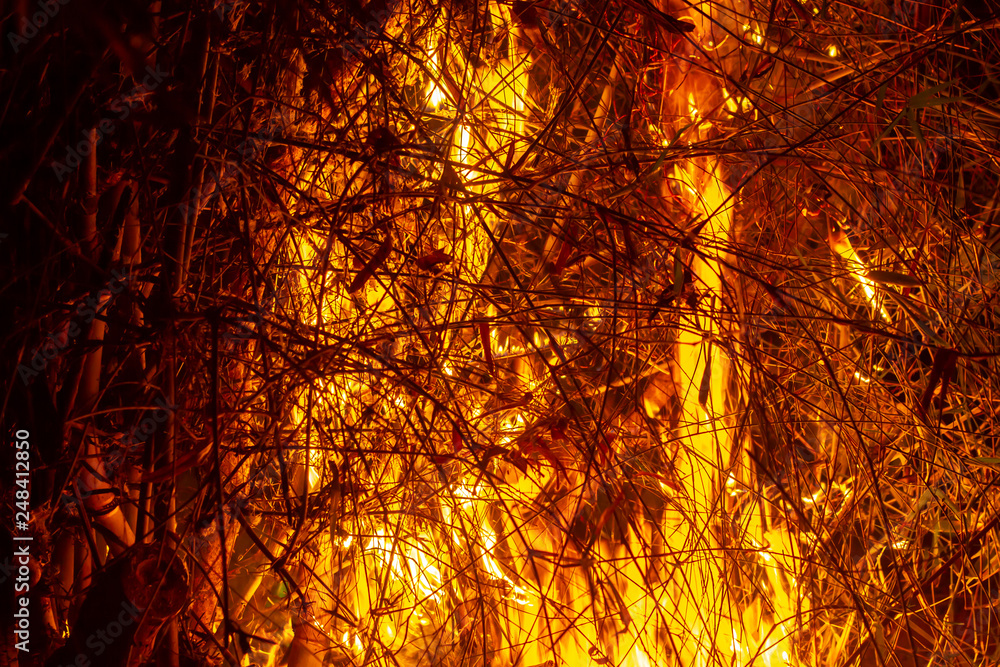 The image of logs in the burning fire. Flame of the burning fire. The image of logs in the burning fire. Flame of the burning fire.