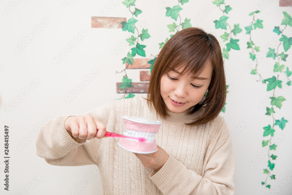 歯型模型を磨く女性 歯型模型を磨く女性