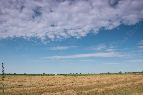 field and blue sky in Ukraine