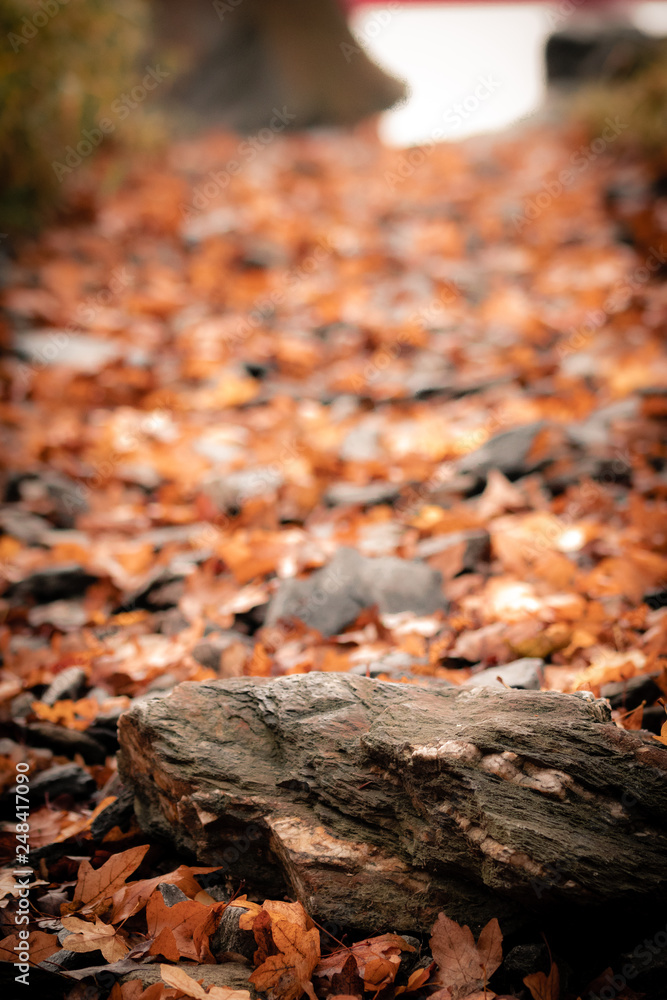 Herbst Herbst