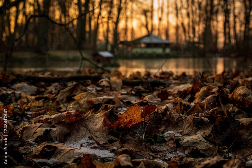 Obraz premium Herbst