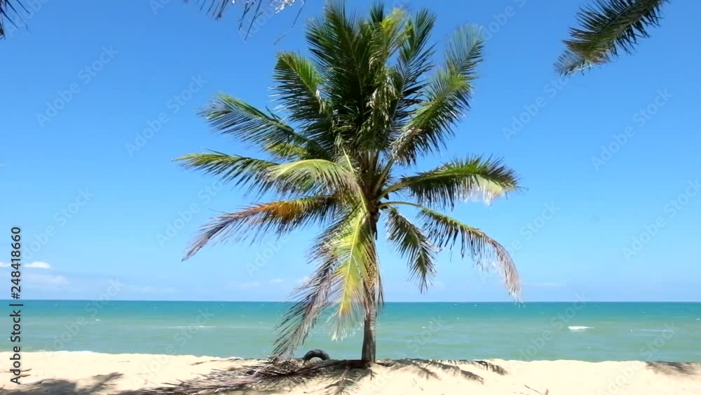 Beautiful beach. View of nice tropical beach with palms around. Holiday and vacation concept. Tropical beach. - Image Beautiful beach. View of nice tropical beach with palms around. Holiday and vacation concept. Tropical beach. - Image