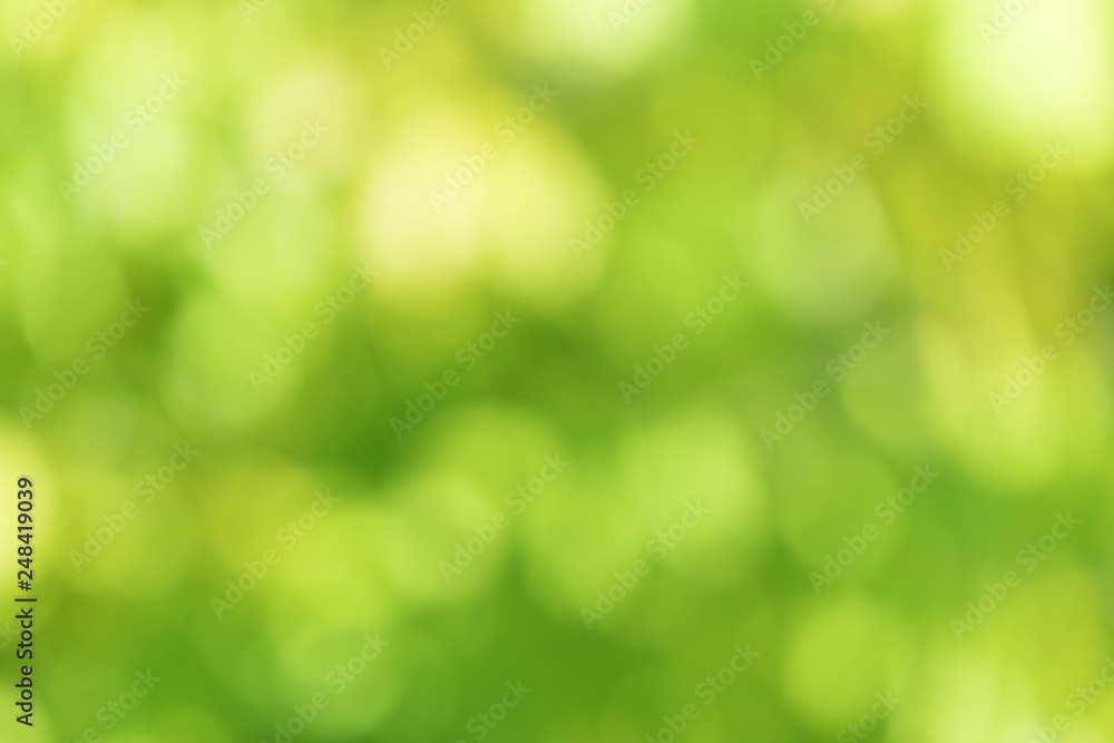 abstract blur green nature for background,blurred and defocused effect spring concept for design.