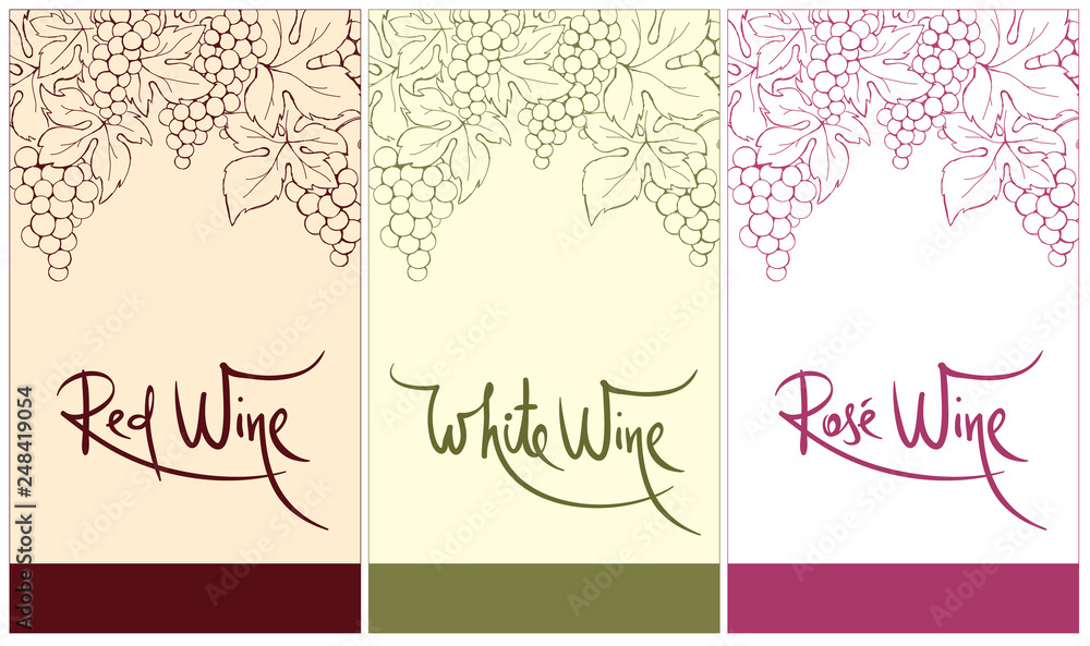 Label for red, white and rose wine. Vector illustration, set floral design element