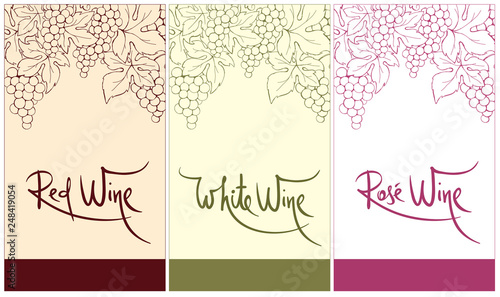 Fototapeta Label for red, white and rose wine. Vector illustration, set floral design element