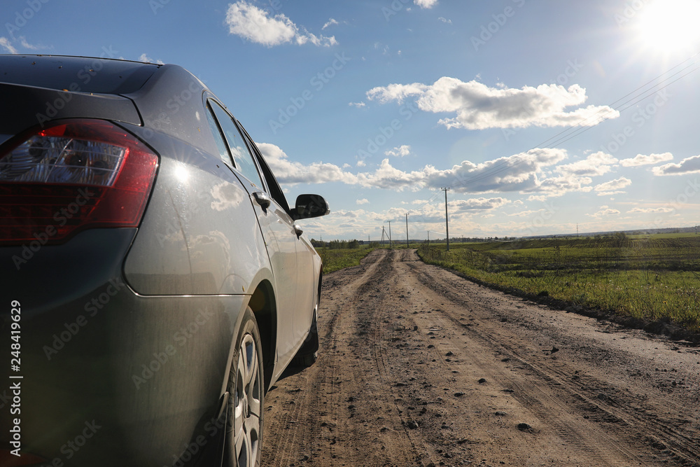 Fototapeta premium Landscape is summer. Green trees and grass in a countryside landscape. Nature summer day. Leaves on the bushes.
