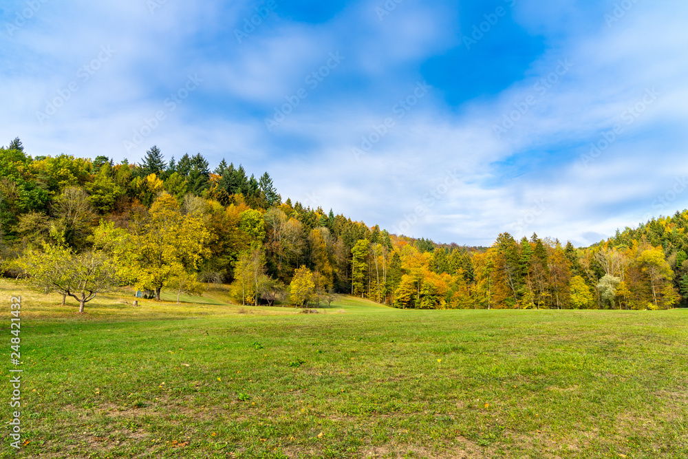 Obraz premium Enchanted colorful autumn style edge of the forest