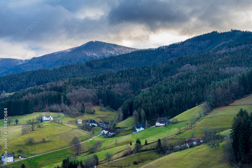 Germany, Houses in black forest mountains covered by trees