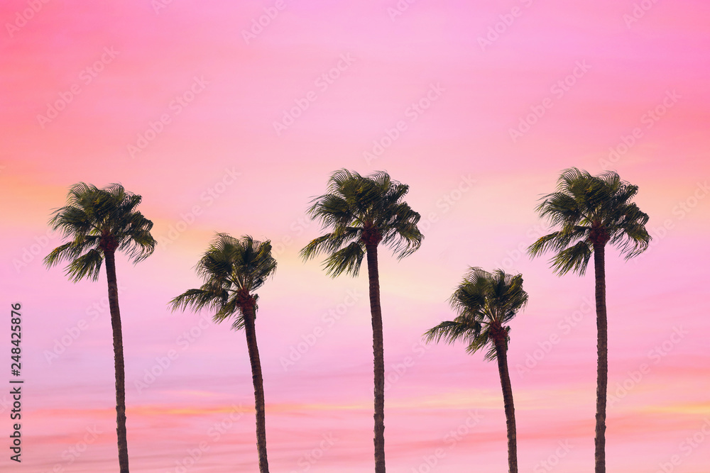 silhouette tropical palm tree with sun light on sunset sky. Copy space. Summer vacation and  travel concept.