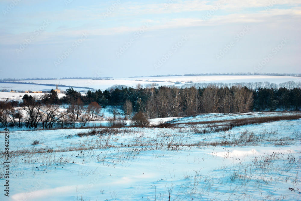 Hills covered with snow, pine forest on the hills, country houses  on horizon, winter landscape, bright blue cloudy sky