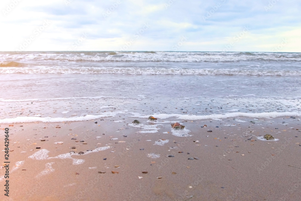 Strong sea waves on the sandy shore. Shells of rapan on the sand. Strong sea waves on the sandy shore. Shells of rapan on the sand.