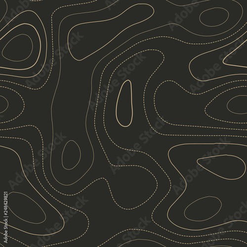 Admirable topography map. Seamless design. Cute tileable isolines pattern, vector illustration.