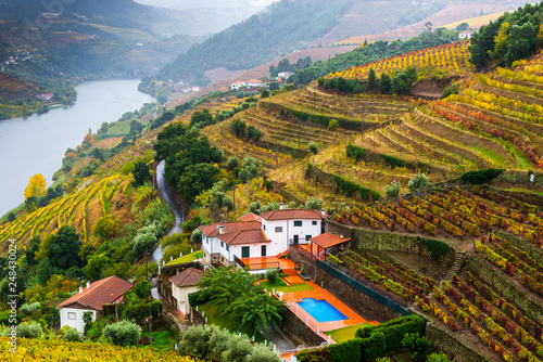 Fall Colors in Porto Vineyards