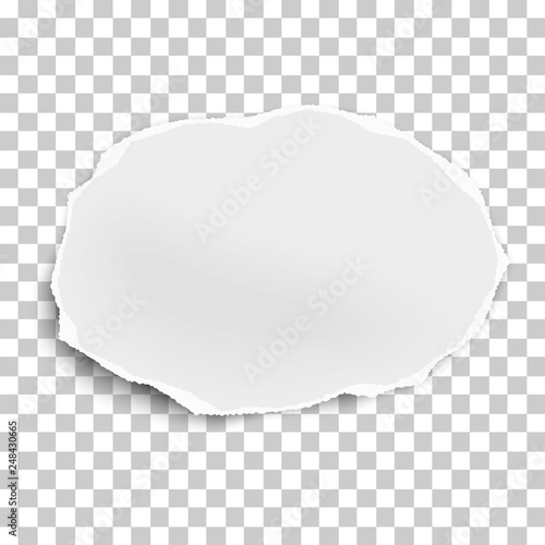 Torn paper scrap of oval shape isolated on transparent background. Vector illustration.