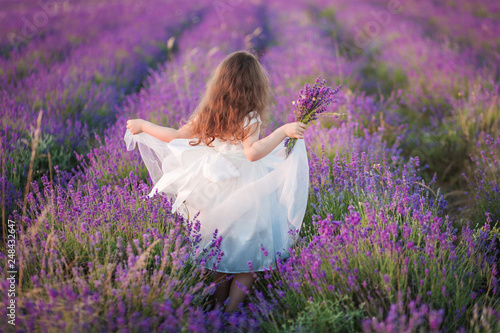 Beautiful young girl in a white dress walking with a bouquet in a lavender field
