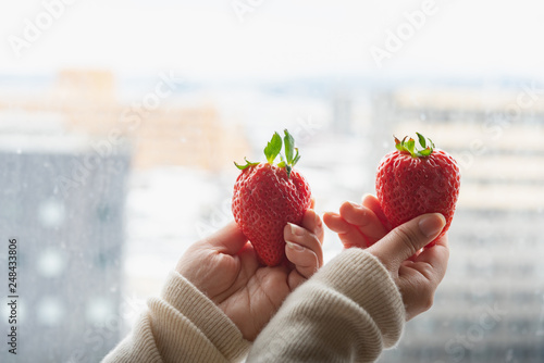 Japan strawberry in hand photo